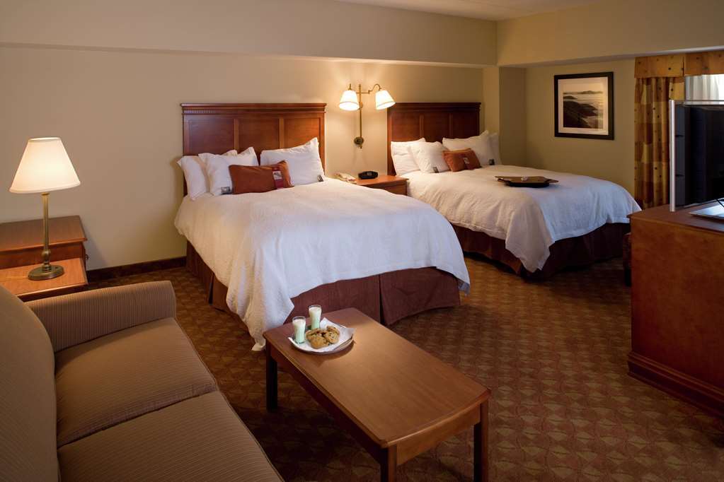 Hampton Inn & Suites Knoxville-Downtown Δωμάτιο φωτογραφία